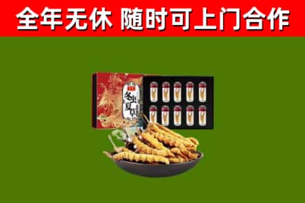 铜陵市烟酒回收冬虫夏草礼盒.jpg